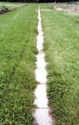 An artwork
including a row of white slabs leads the
visitor to centres of research activity. Science
should be felt, smelled and studied close up.